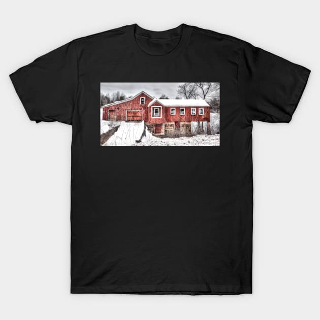 Through The Sawmill Of Life T-Shirt by BeanME